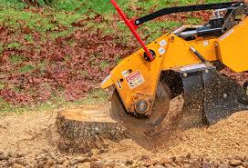 Lawn Renovation and Restoration in West Columbia, TX